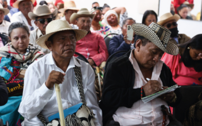 Sentencia T-172 de 2019: Negligencia Institucional