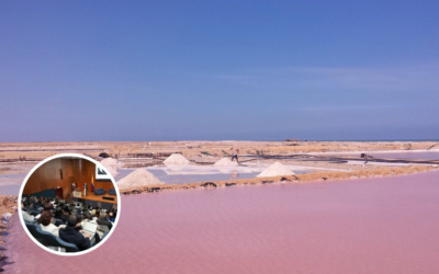 Congreso aprueba ley para salvar SAMA