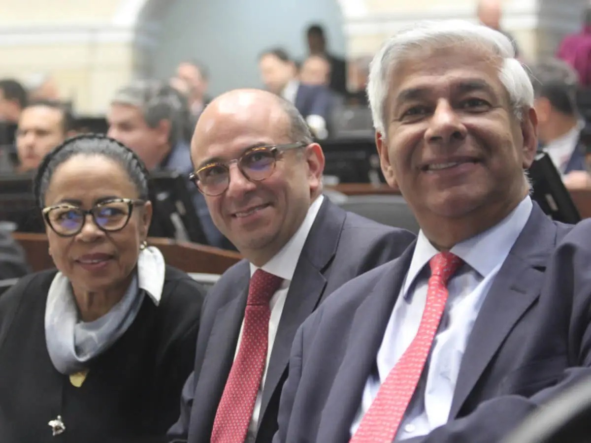 Deber de ingratitud elegido por favores obligado por la constitución Deber de ingratitud elegido por favores, obligado por la constitución